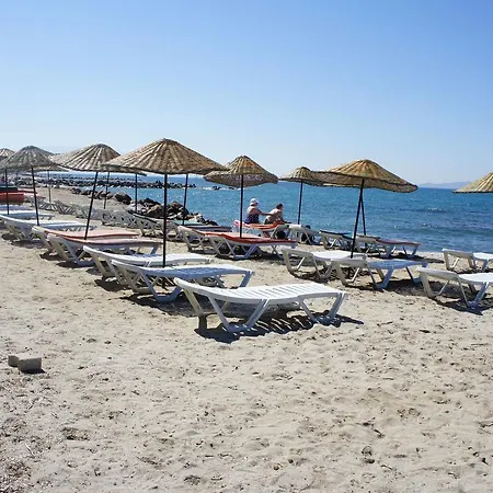 Mandalina * Turgutreis