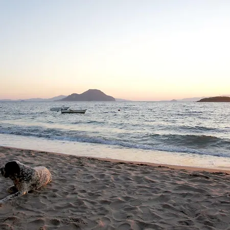 Mandalina * Turgutreis
