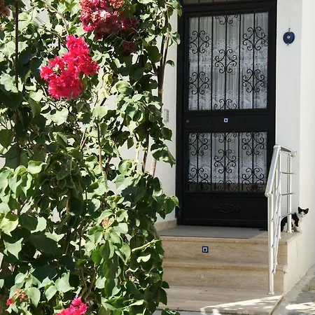 Mandalina Apartamento